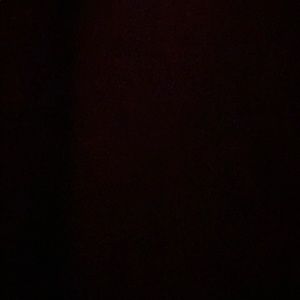 Meet your Posher, Dalia